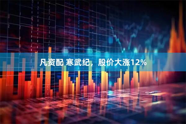 凡资配 寒武纪，股价大涨12%