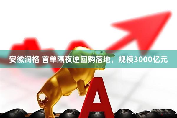 安徽润格 首单隔夜逆回购落地，规模3000亿元