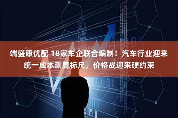 端盛康优配 18家车企联合编制！汽车行业迎来统一成本测算标尺，价格战迎来硬约束