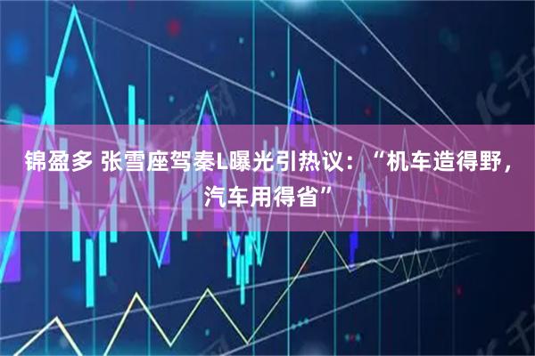 锦盈多 张雪座驾秦L曝光引热议：“机车造得野，汽车用得省”