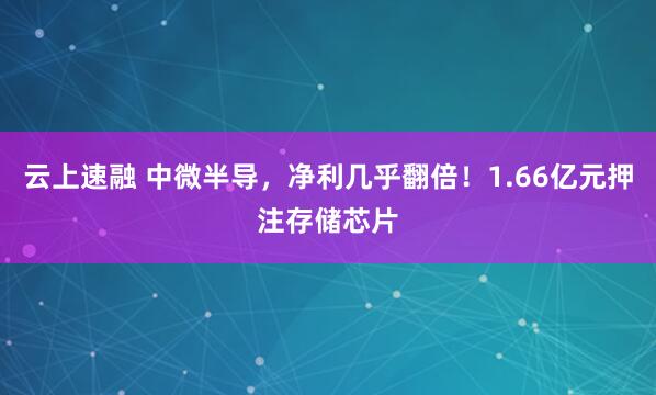 云上速融 中微半导，净利几乎翻倍！1.66亿元押注存储芯片